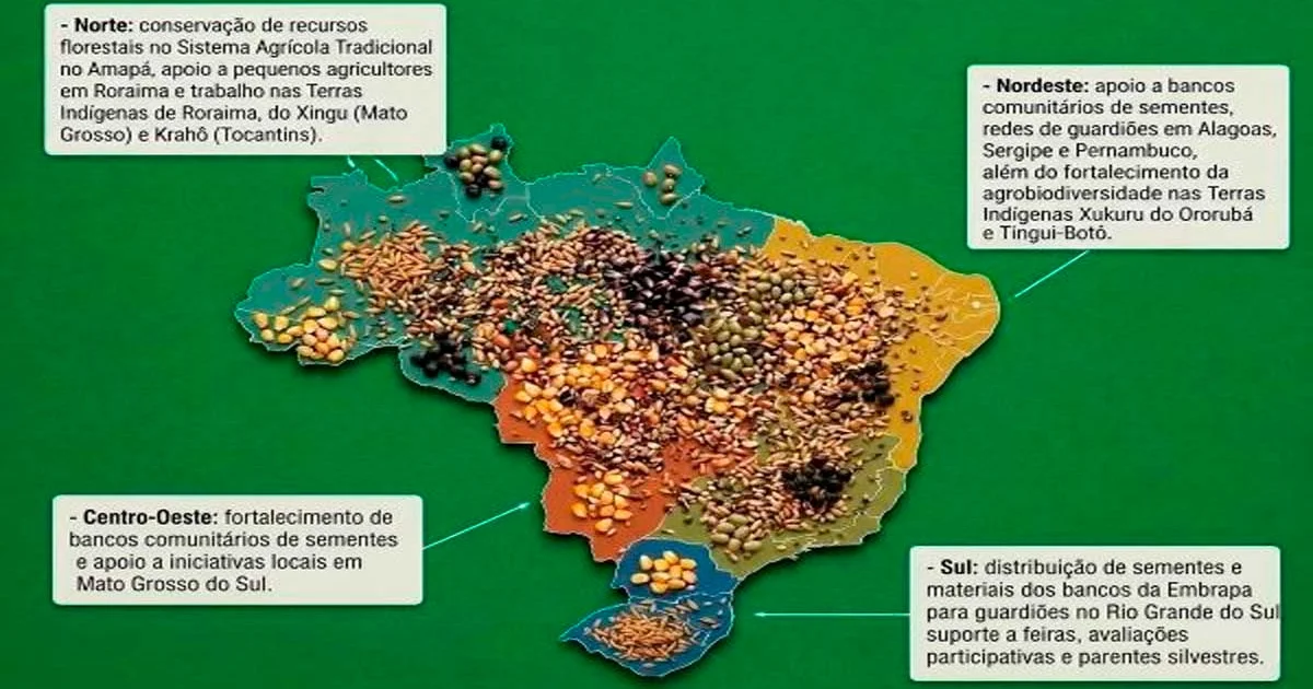 Projeto Brasileiro de Conservação de Sementes Ganha Destaque na ONU